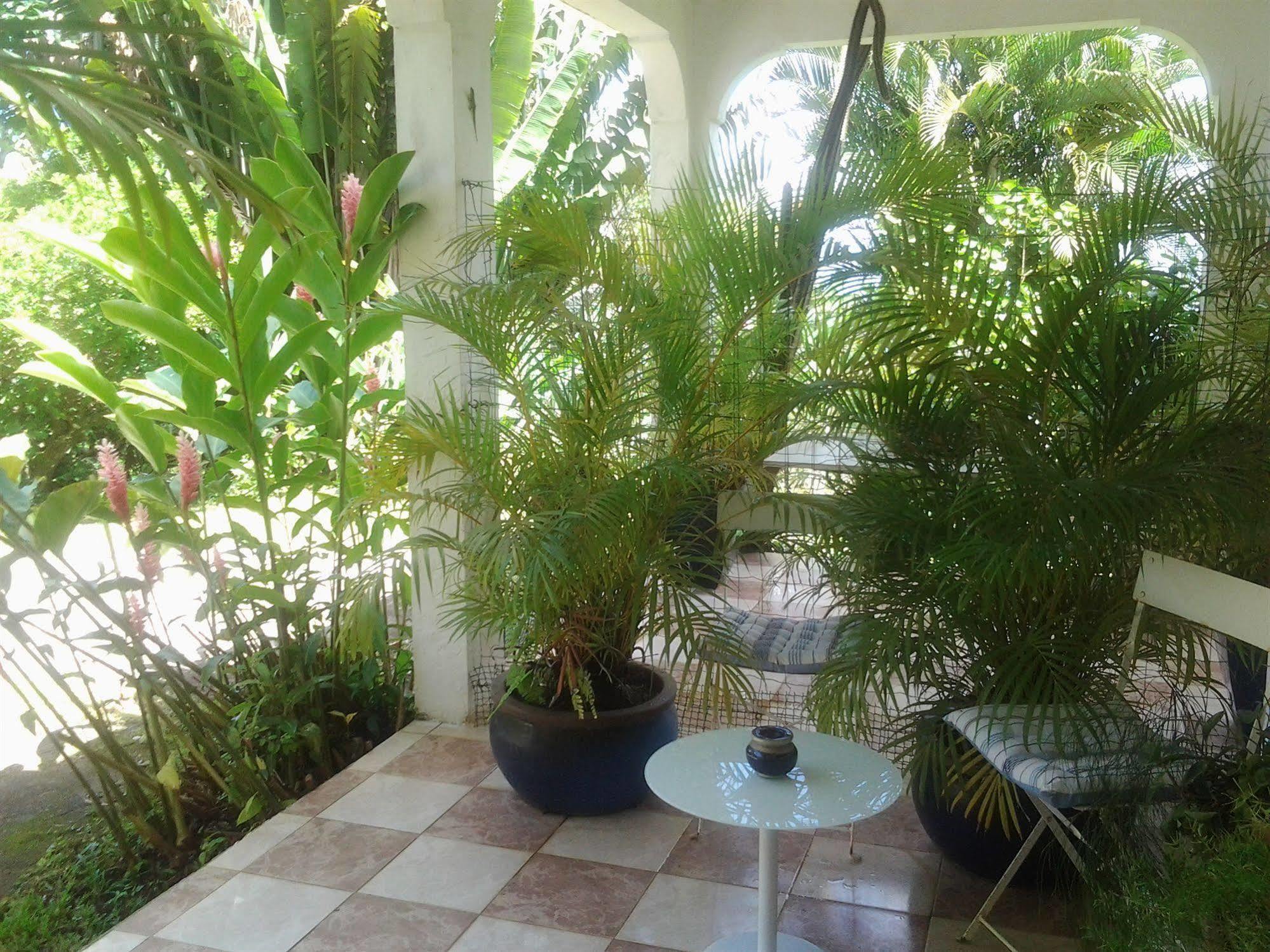 Villa Galerie Les Anses-d'Arlets Bagian luar foto
